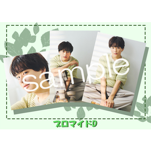 しおんのおともグッズ【ブロマイド】第二弾